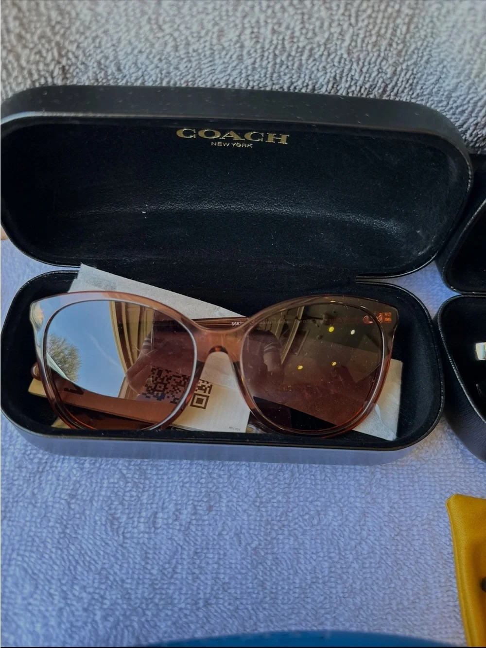 Coach Women's Ginger Brown Frame Sunglasses with Brown Gradient Lenses